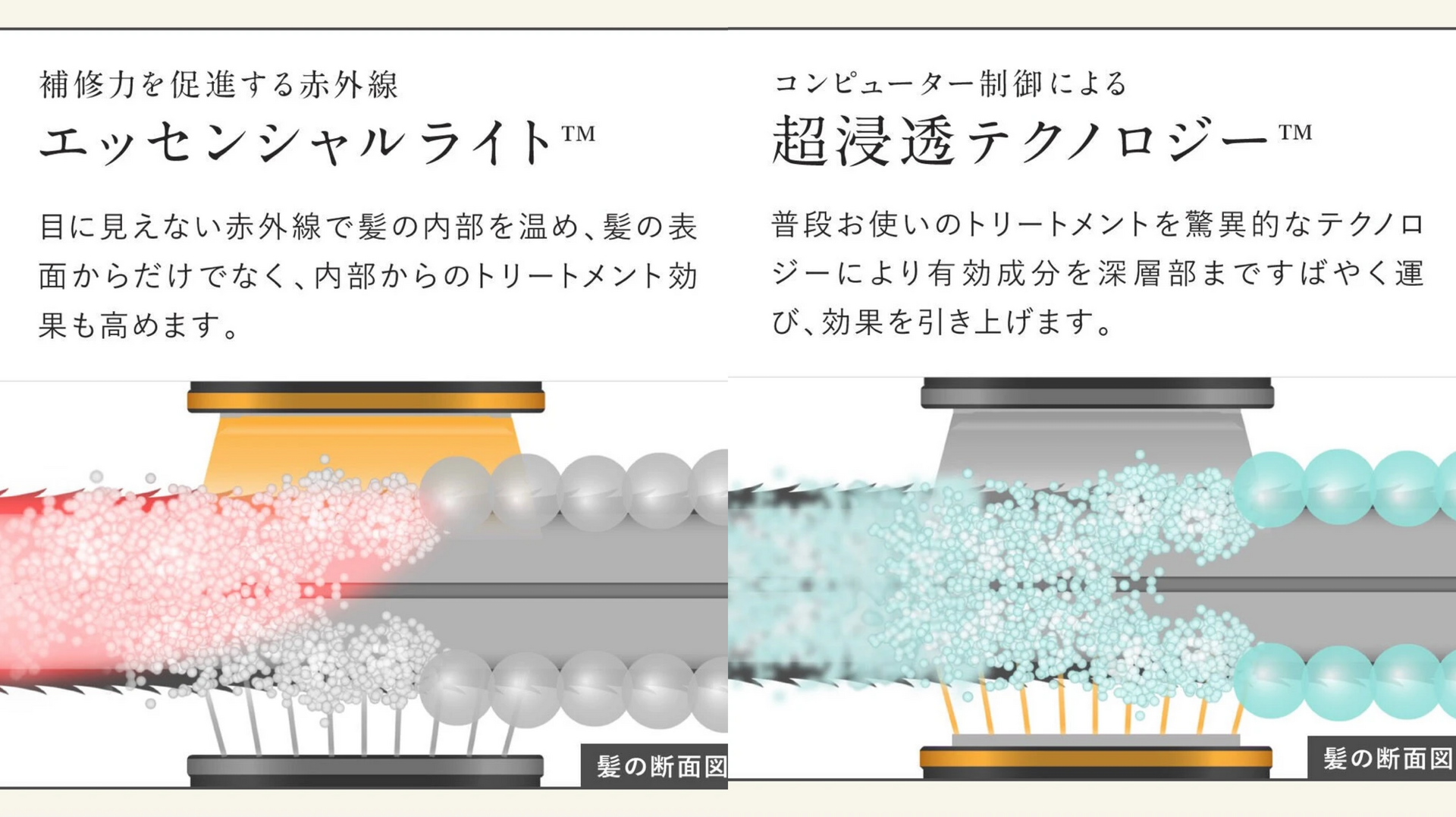 A2453A40-435D-4F0D-928A-D5F5442B5FB2